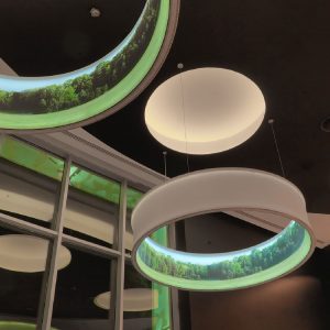 Stretch Ceiling Lamp